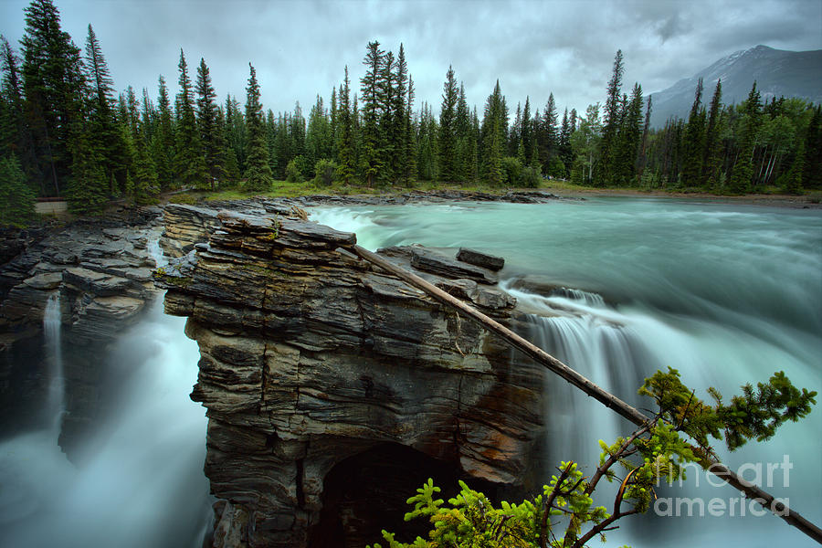 Log Over Athabasca Photograph by Adam Jewell