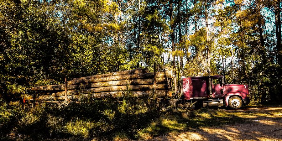Woods Photograph - Log Truck by Leon Hollins III Woods Photograph - Log Truck by Leon Hollins III