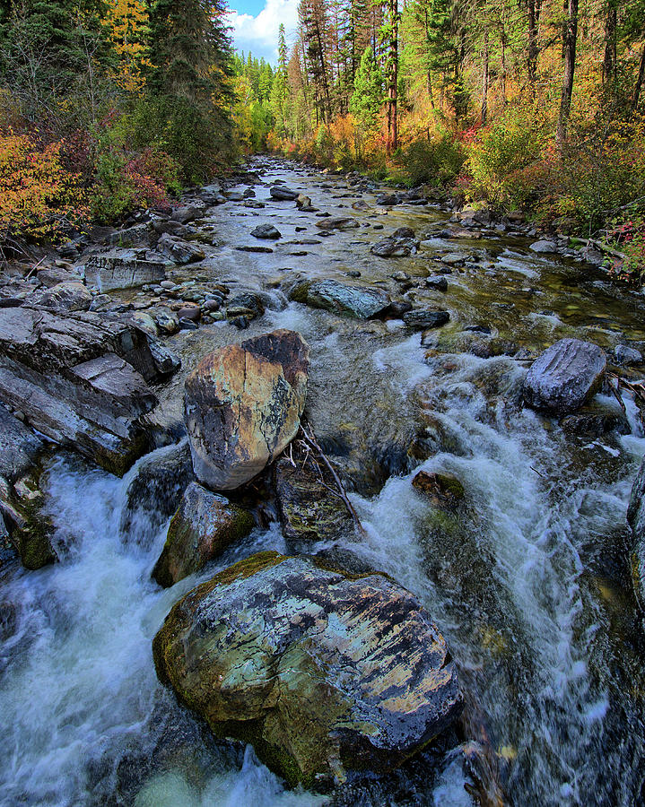 Logan Creek 2016 Photograph by Jedediah Hohf