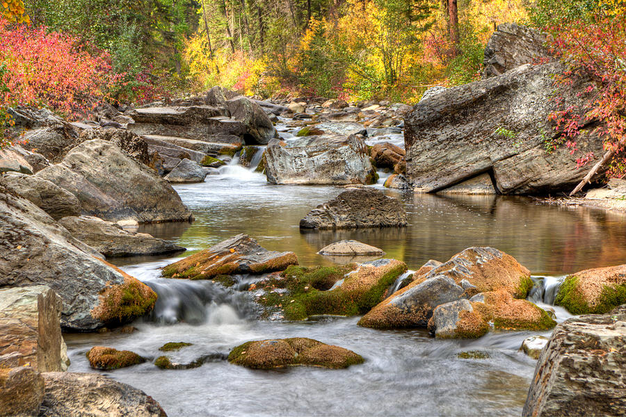 Logan Creek, Montana 4 Photograph by Jedediah Hohf