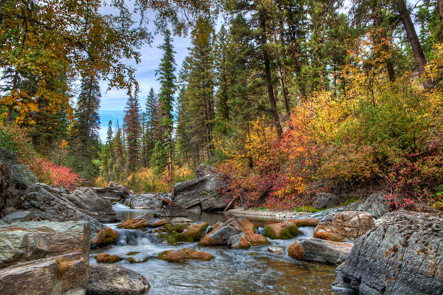 Logan Creek, Montana Photograph by Jedediah Hohf