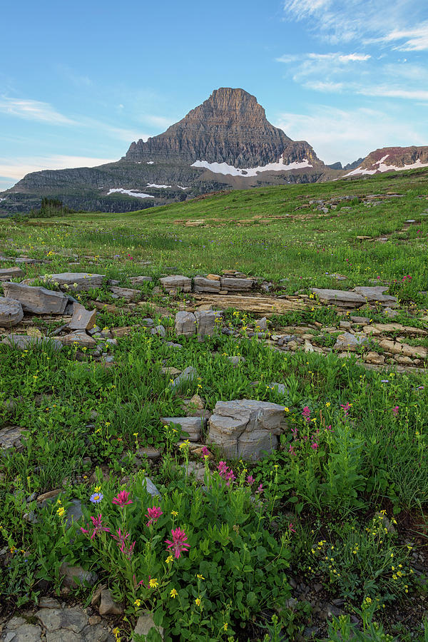 Glacier National Park Photograph - Logan Pass in Summer by Morris McClung