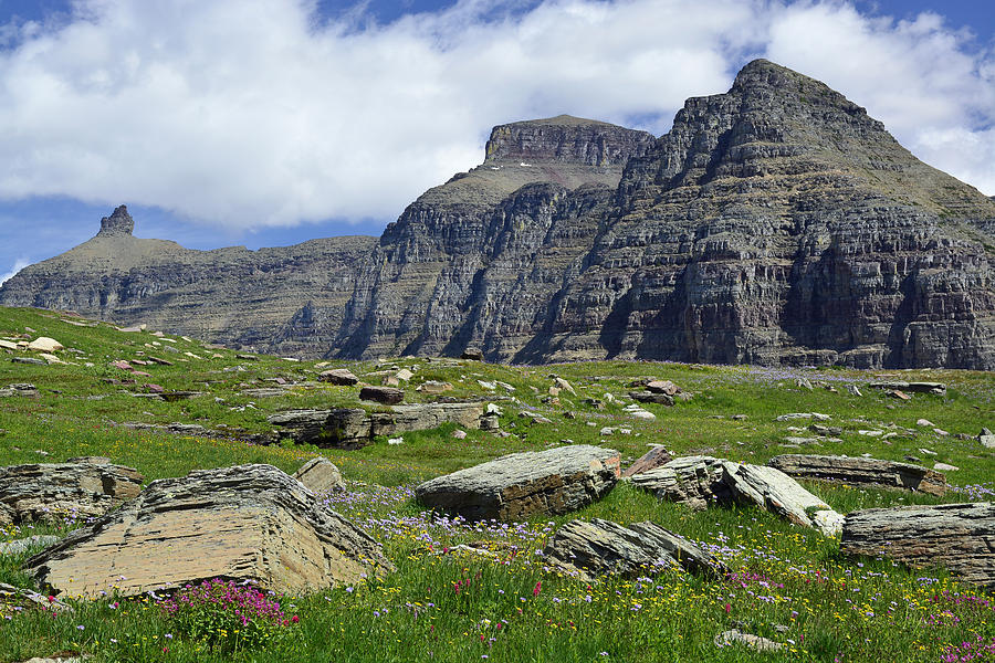Logan Pass Meadow and Mountains in Glacier National Park Photograph by Bruce Gourley