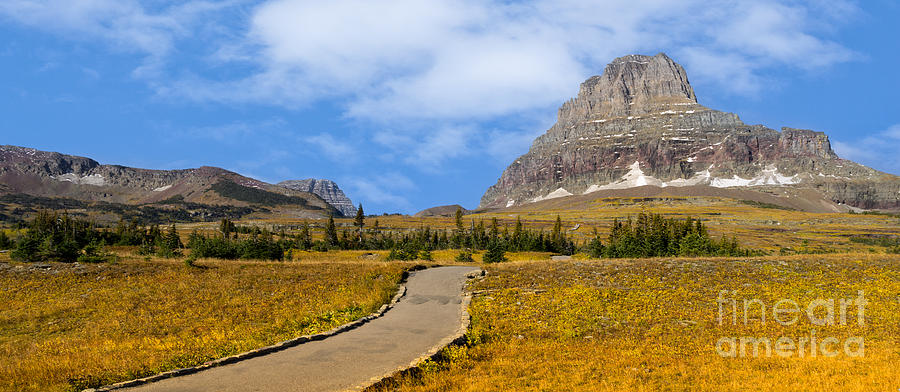 Glacier National Park Photograph - Logan Pass Trail by Jerry Fornarotto