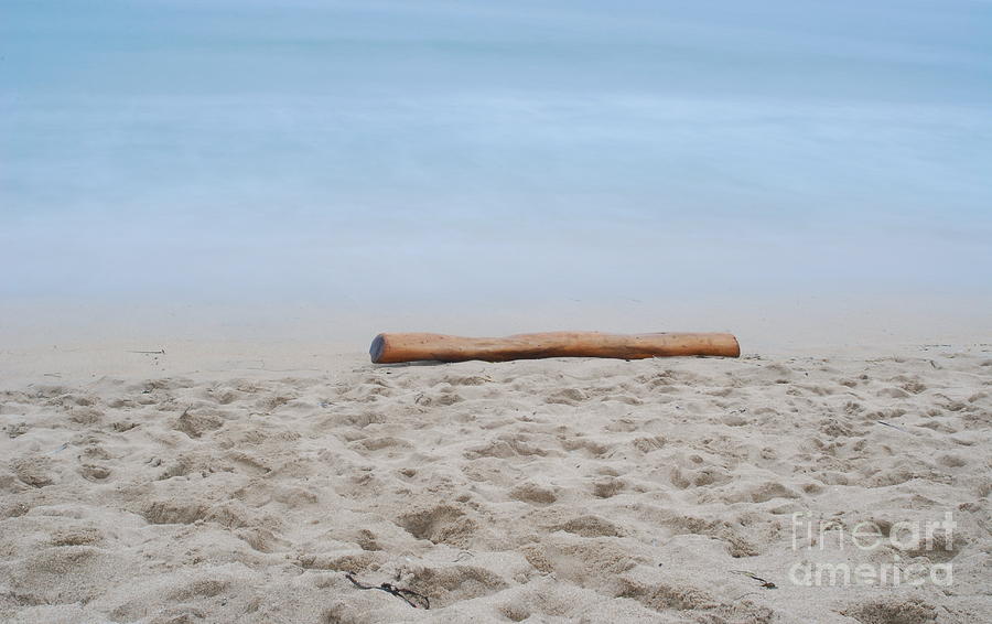 Log...beach...ocean Photograph by Catherine Lau