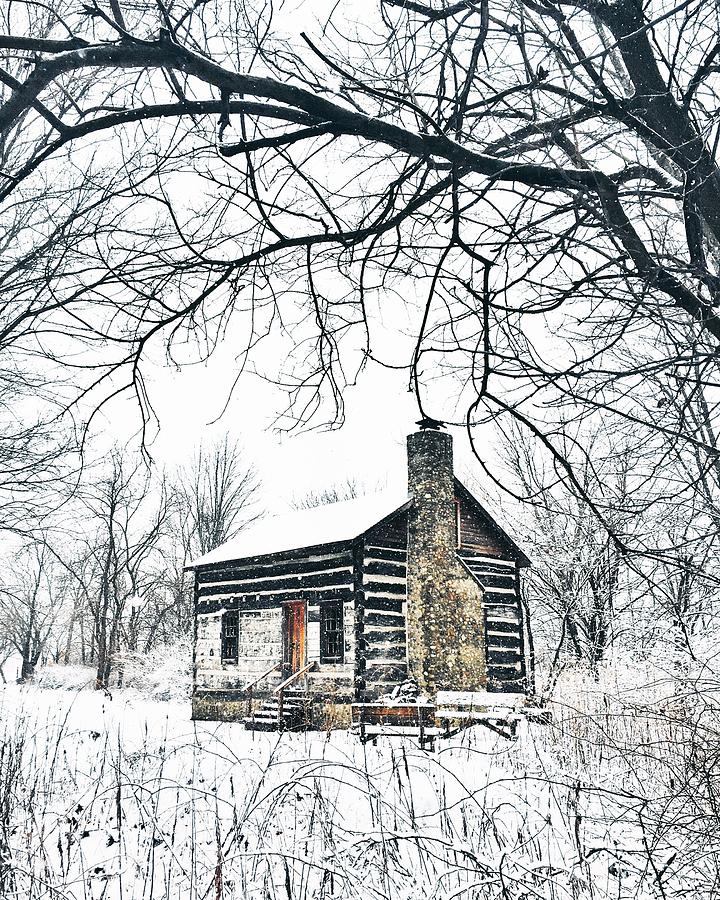 Winter Photograph - #logcabinsrock by Andrew Weills