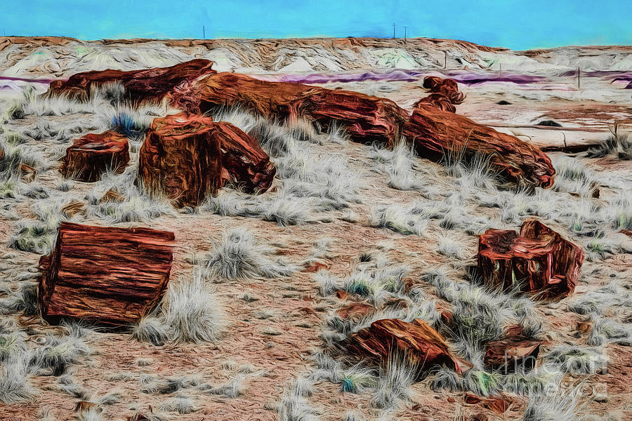 Petrified Forest National Park Photograph - Logged Out by Jon Burch Photography
