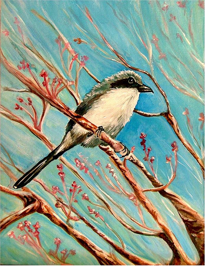 Bird Painting - Loggerhead Shrike by Carol Allen Anfinsen