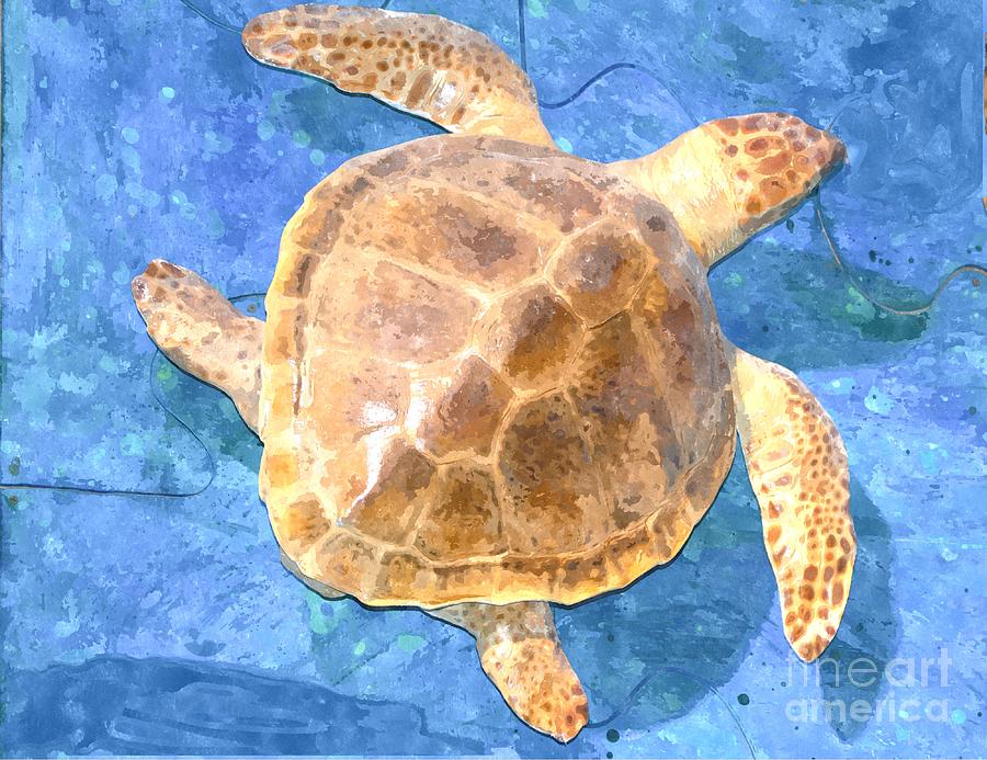 Loggerhead Turtle Photograph
