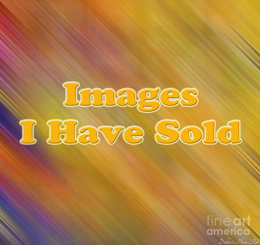 LOGO - Images I have sold gallery Photograph by Debbie Portwood