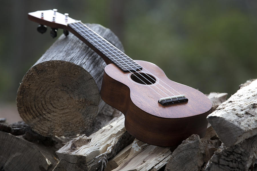 Logpile Ukulele by Keith May Logpile Ukulele by Keith May