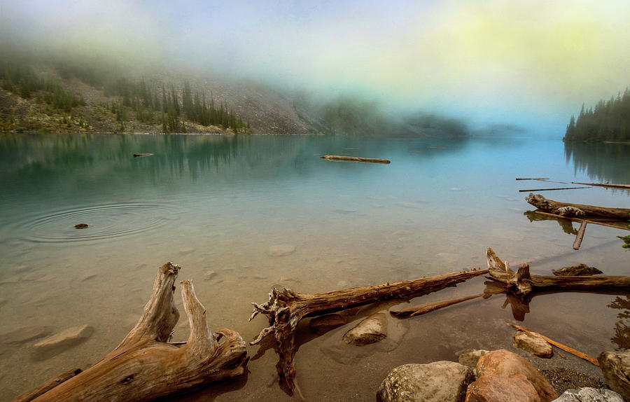 Banff National Park Photograph - Logs And Boulders Moraine Lake Banff II by Joan Carroll