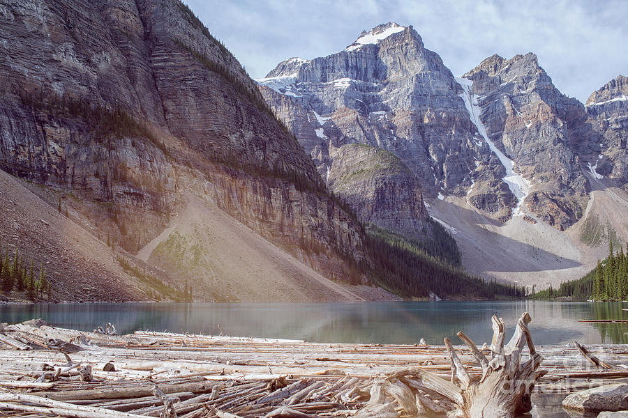 Logs at Lake Moraine Photograph by Patricia Hofmeester