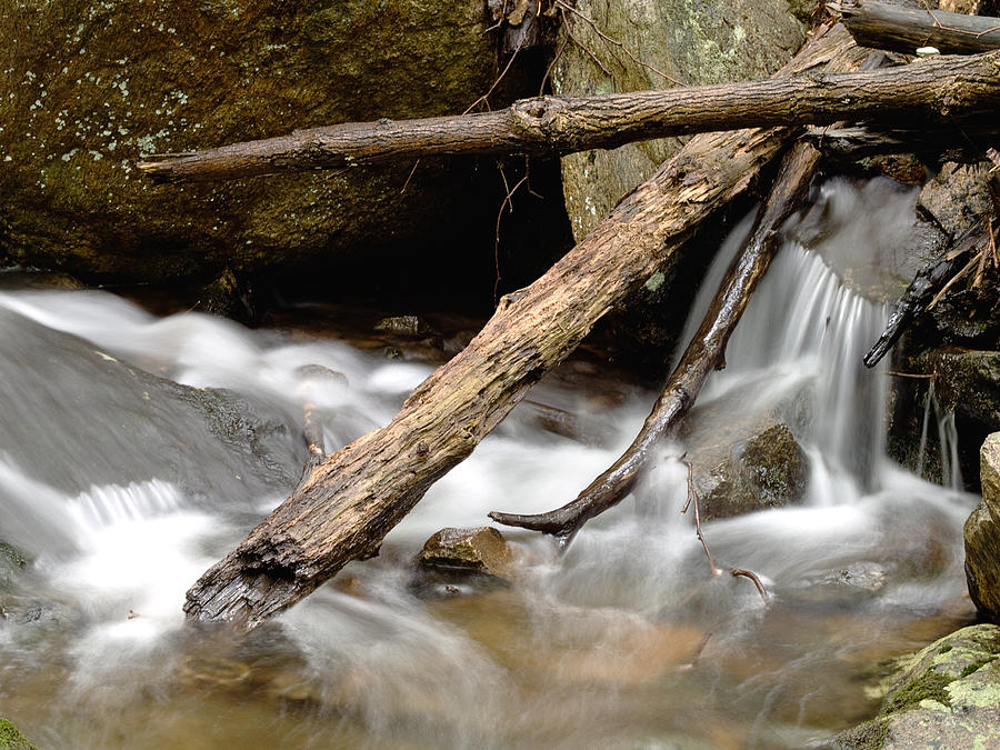 Logs in Stream Photograph by Jim DeLillo