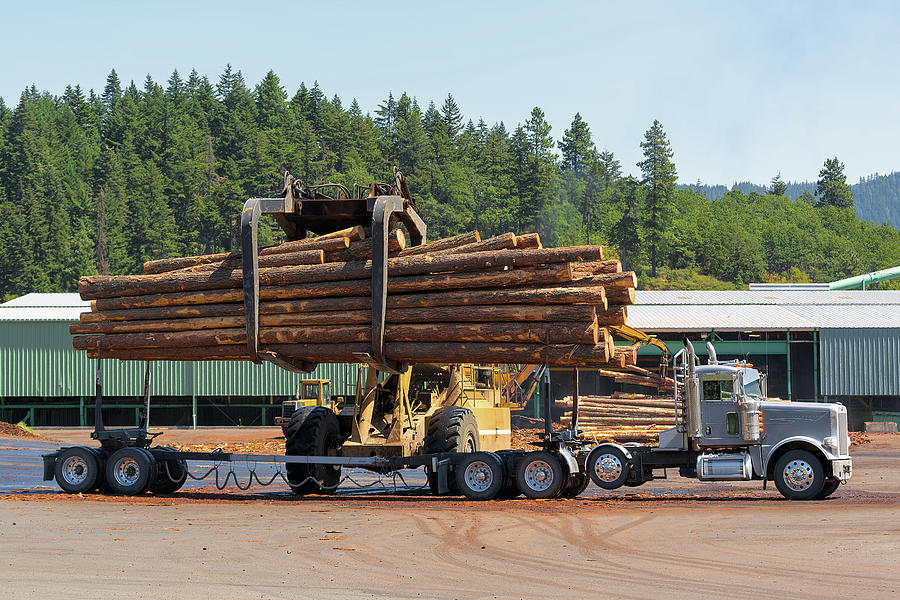 Logs Unloading Off Truck in Lumber Yard Photograph by David Gn