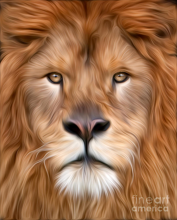 Lion Close Up Creative Photograph by Jerry Fornarotto