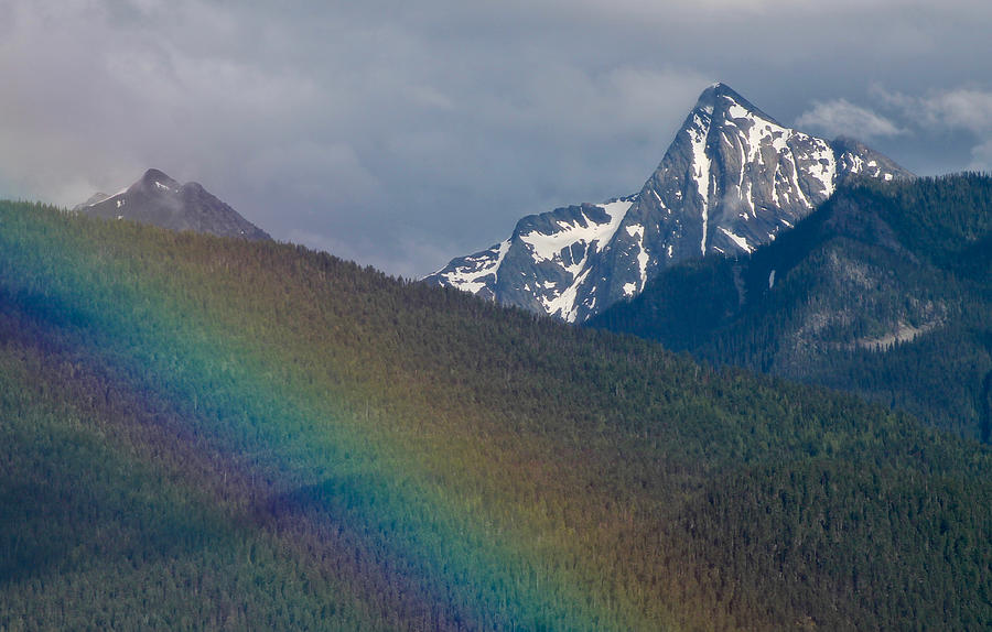Loki Rainbow Photograph by Cathie Douglas