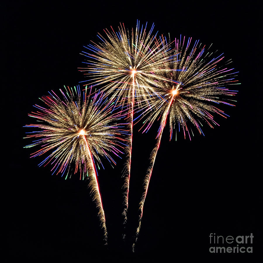Lollipop Fireworks Photograph by Karen Jorstad