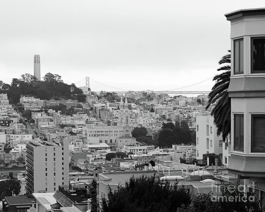 Lombard and Coit Tower Photograph by Cheryl Del Toro