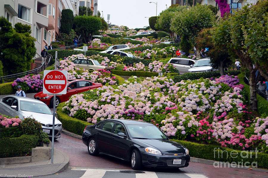 Lombard Street Photograph by Tommy Anderson