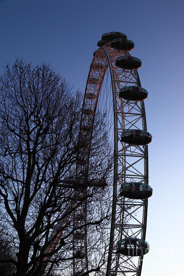 London Eye Photograph - London Eye and Winter Tree England by James Brunker