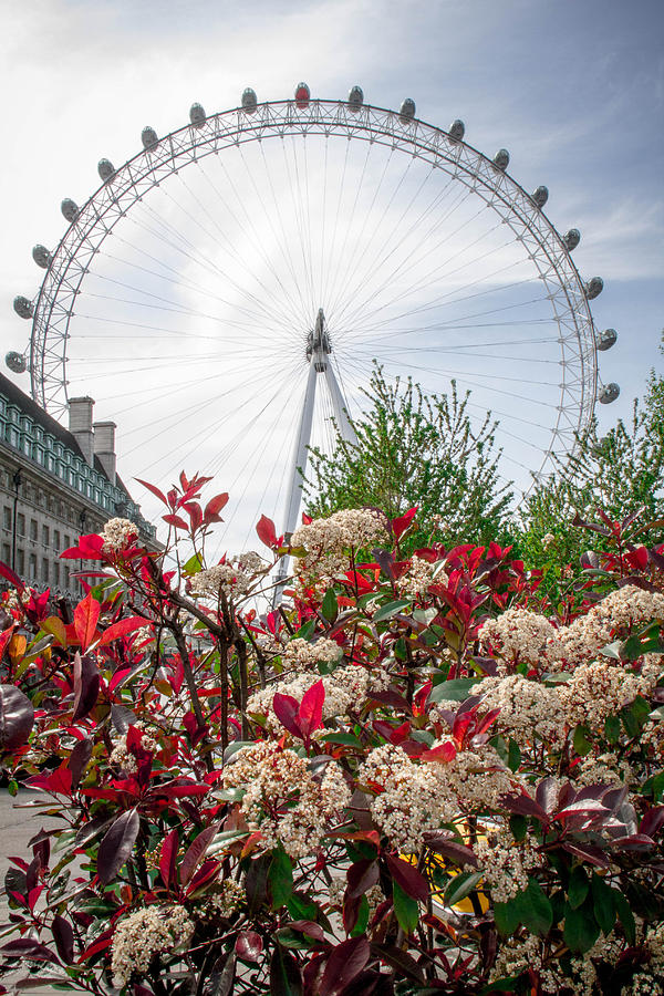 London Eye Photograph by Shannon Kunkle