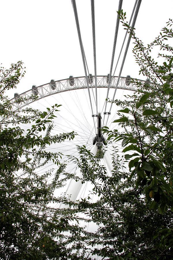 London Photograph - London Eye Through The Trees by Sean Flynn London Photograph - London Eye Through The Trees by Sean Flynn