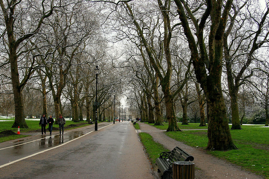 London Hyde Park Photograph by Tony Brown