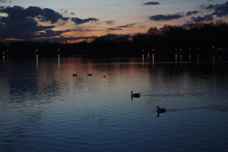 Londons Hyde Park after Sundown Photograph by Yvonne Ayoub