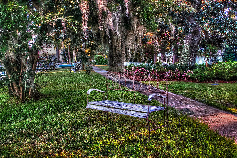 Lone Bench in Fairhope, Alabama Photograph by Michael Thomas