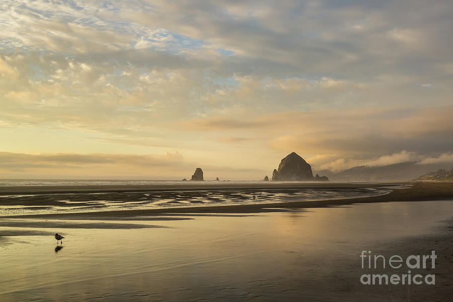Sunset at Haystack rock Photograph by Paul Quinn