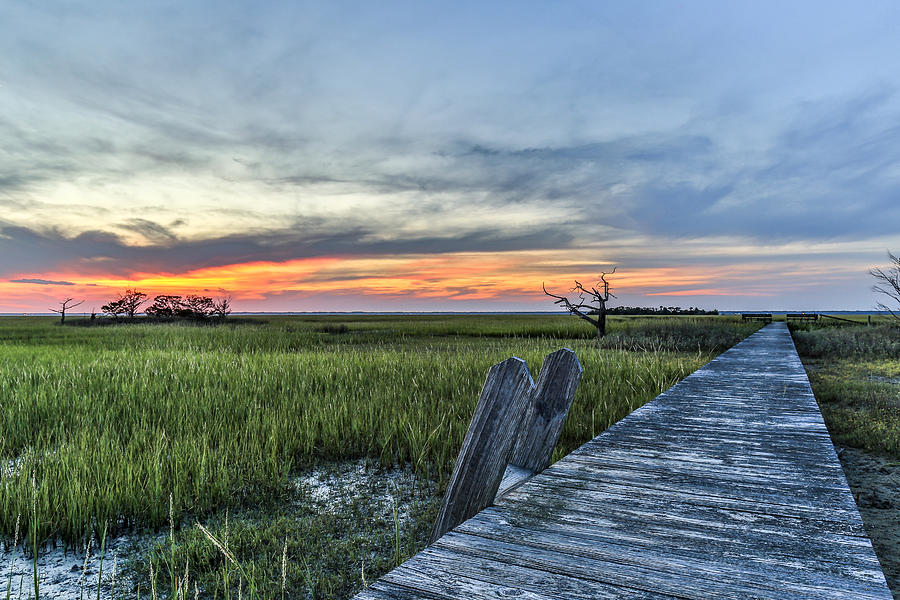 Lone Cedar Dock - Dewees Island SC Photograph by Donnie Whitaker