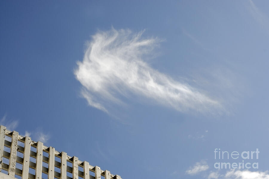 Lone Cirrus cloud Photograph by John  Mitchell