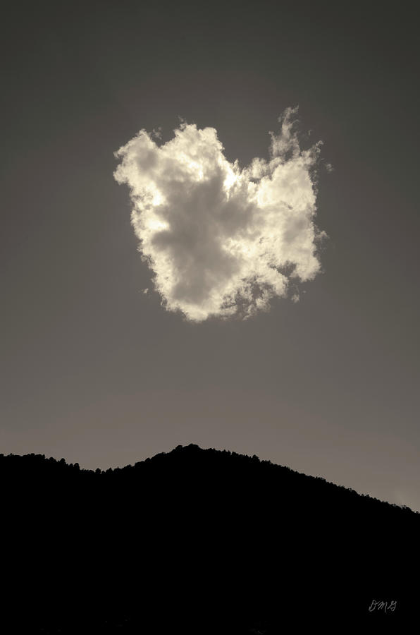 Lone Cloud BW Toned Photograph by David Gordon
