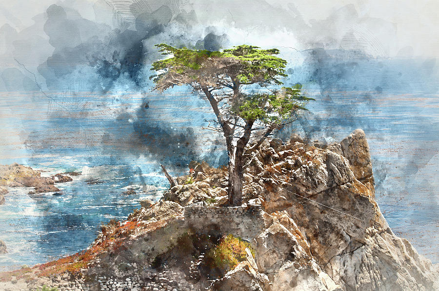 Nature Photograph - Lone Cypress in Monterey California by Brandon Bourdages