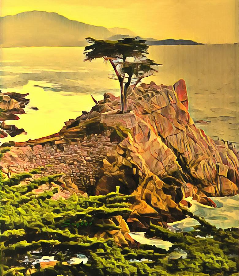 Lone Cypress Monterey Photograph by Barbara Snyder