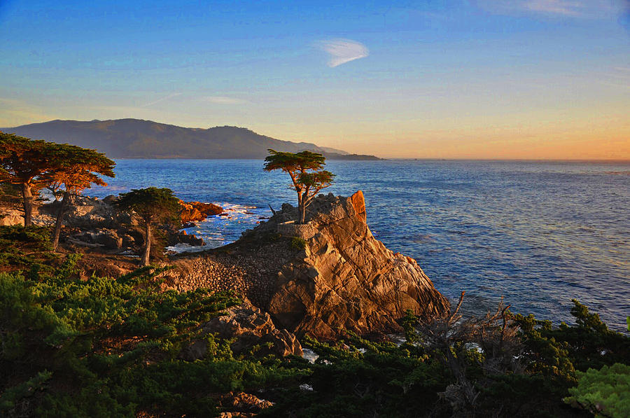 Lone Cypress Monterey Photograph by Vijay Sharon Govender