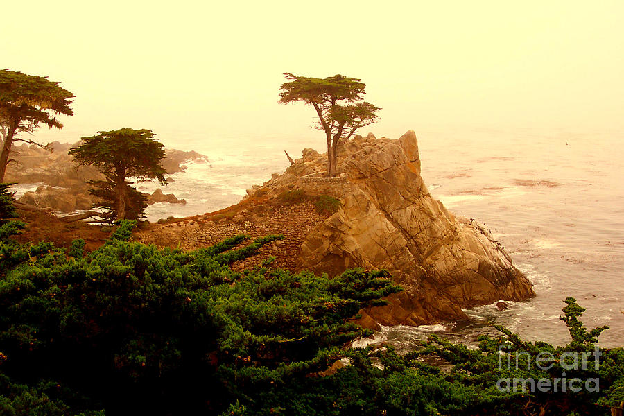 Landscape Photograph - Lone Cypress by Rick Maxwell