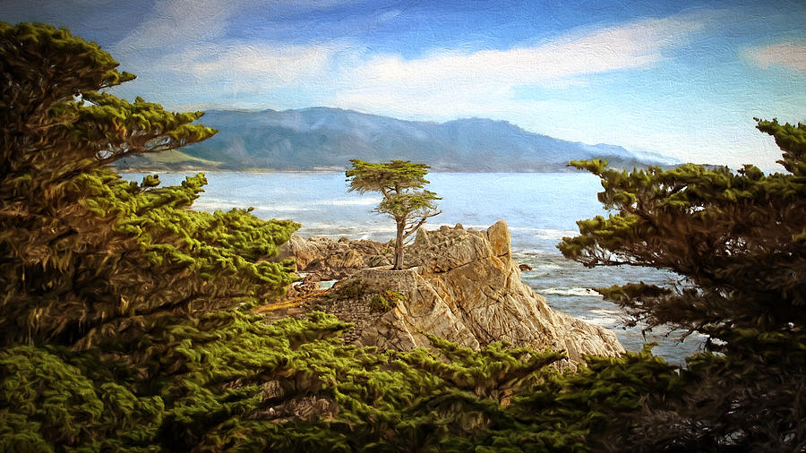 Lone Cypress Photograph by Susan Rissi Tregoning