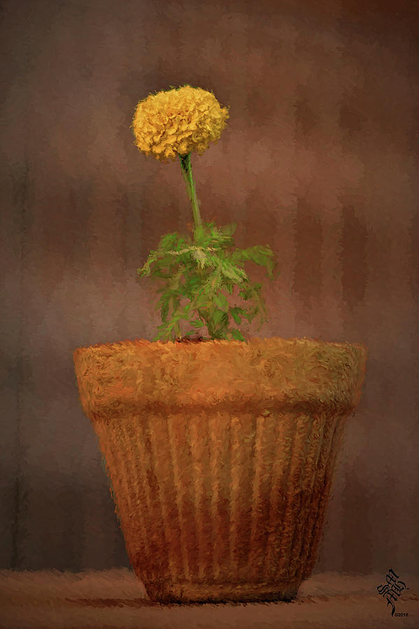 Lone Flower Digital Art by Syed Muhammad Munir ul Haq