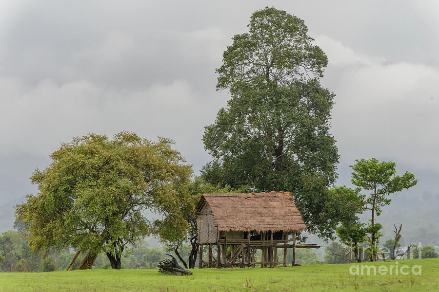 Lone House Photograph by Werner Padarin