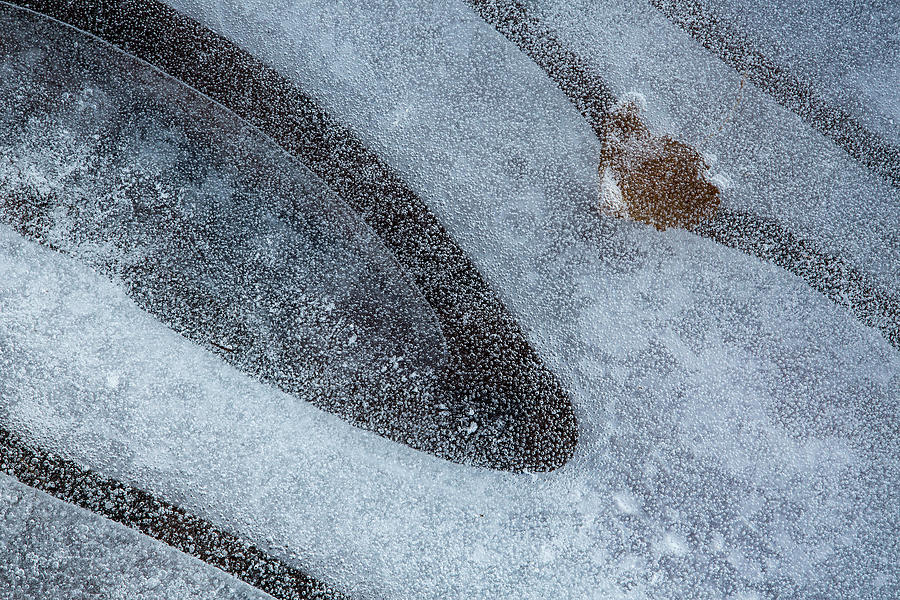 Lone Leaf In Ice Photograph by Deborah Hughes