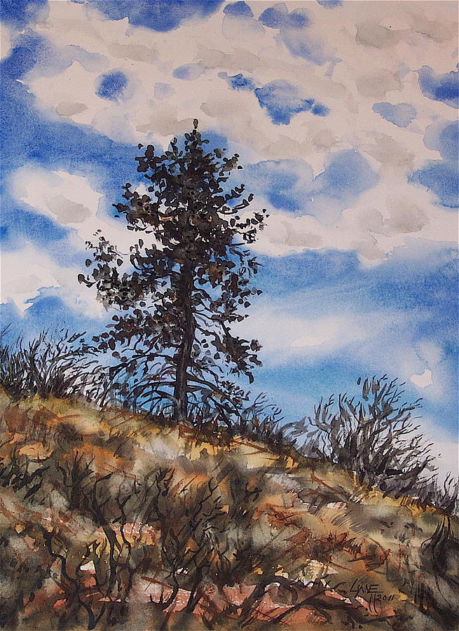 Ponderosa Pine Painting - Lone Pine by Lynne Haines