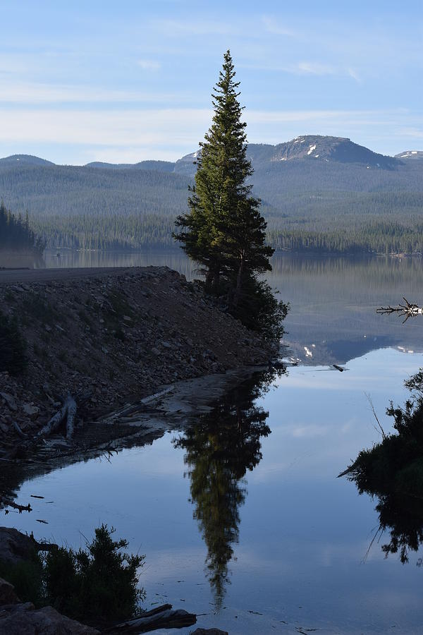 Lone Pine Reflection Chambers Lake Hwy 14 CO Photograph by Margarethe Binkley