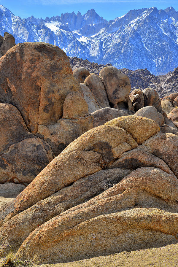 Lone Pines Beautiful Alabama Hills Photograph by Ray Mathis