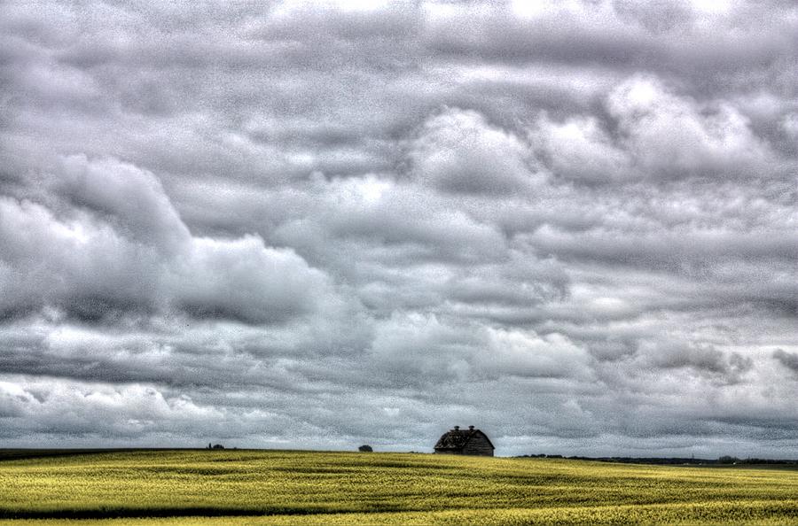 Lone Prairie Photograph by David Matthews