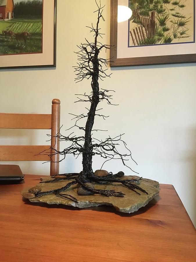 Lone Rugged Pine by Dale Yarmuth Lone Rugged Pine by Dale Yarmuth
