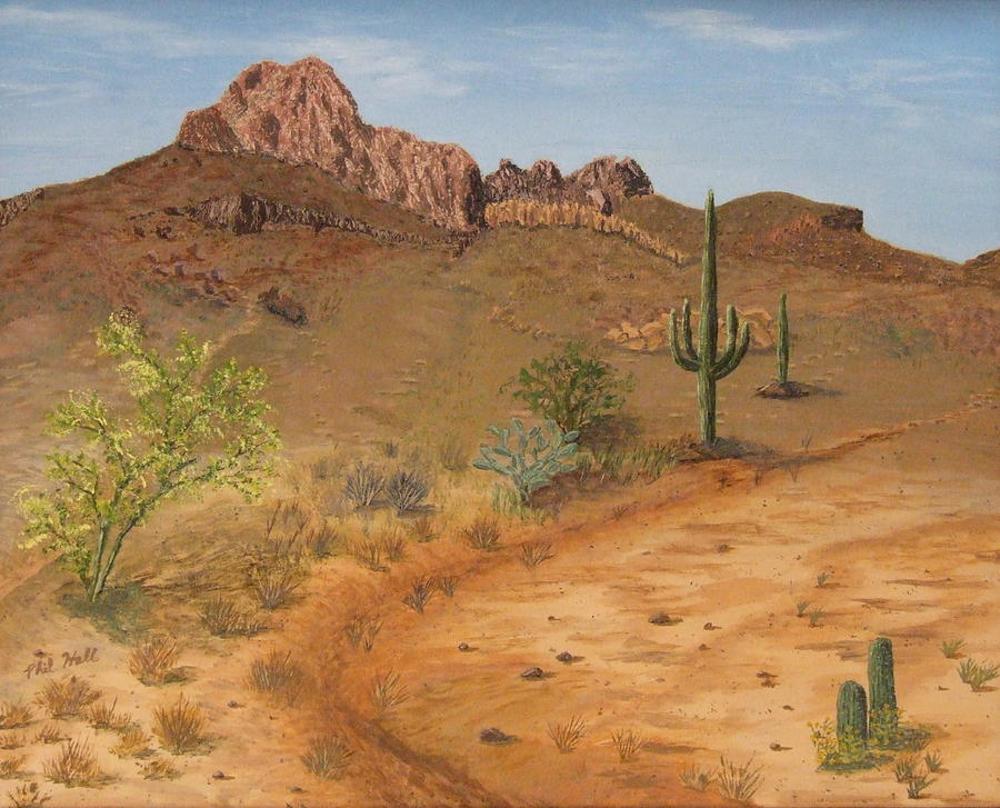 Lone Saguaro in Desert Painting by Philip Hall | Fine Art America