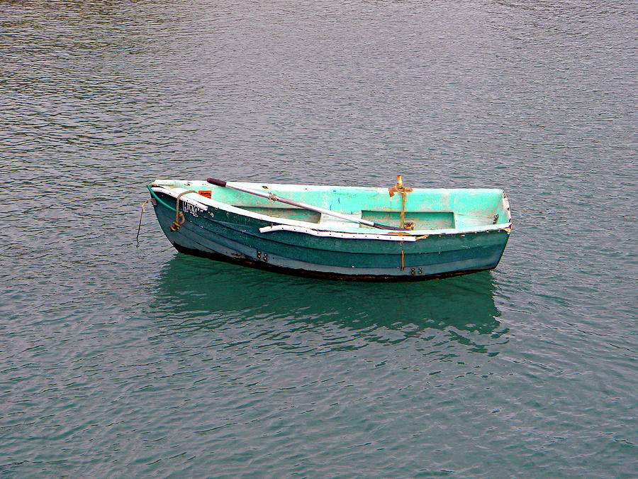 Lone Skiff Photograph by Frank Wilson