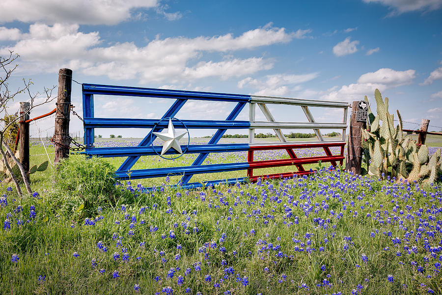 Lone Star Gate With Bluebonnets Photograph by Stephen Masker - Fine Art ...